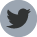 twitter icon